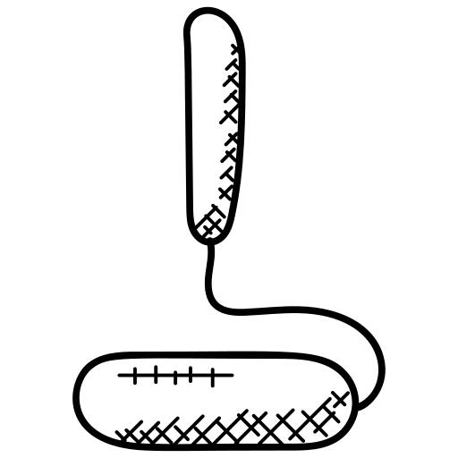 Paint roller