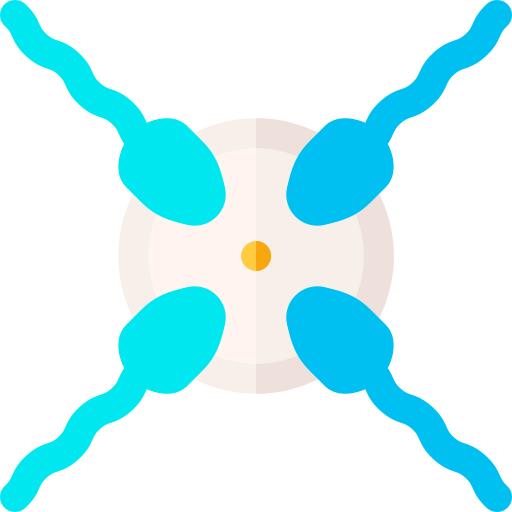 Conception