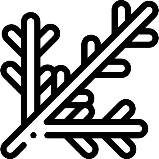 Branches