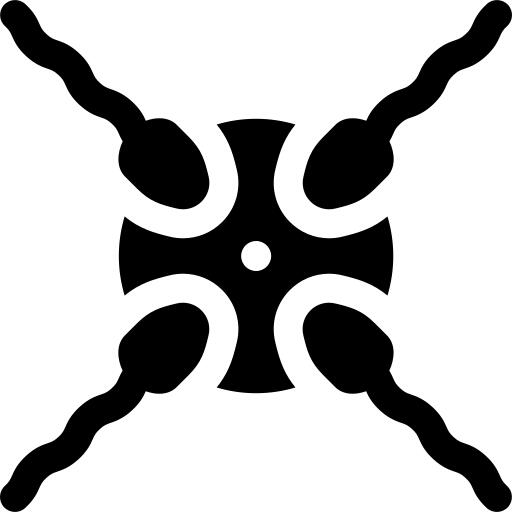 Conception