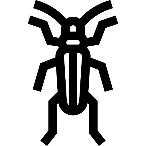 Beetle
