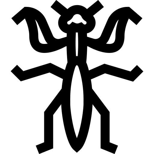 Mantis