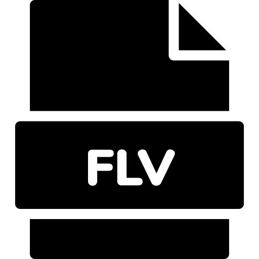 FLV文件