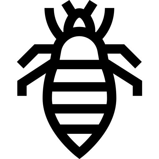 Louse