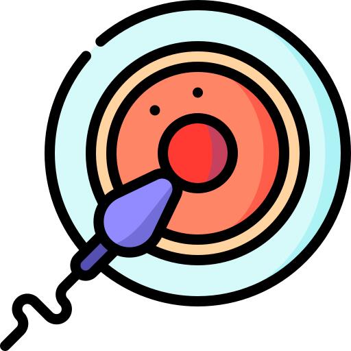Fertilization