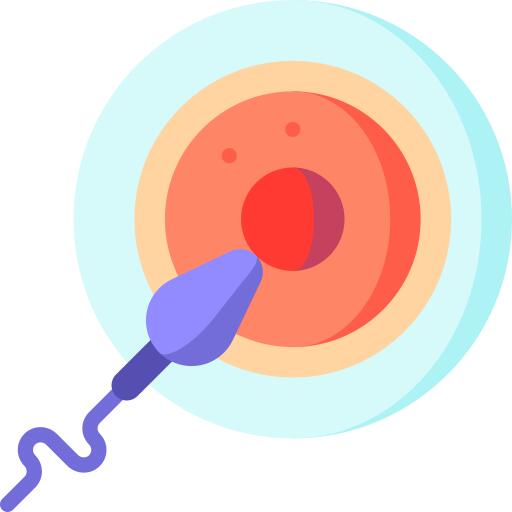 Fertilization