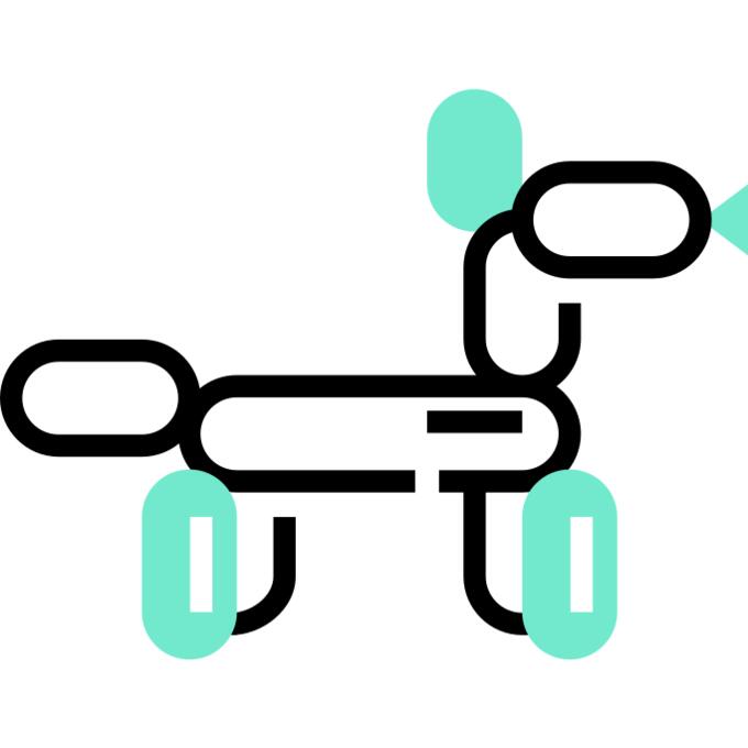 Balloon dog