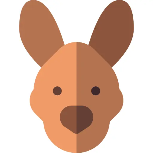 Kangaroo
