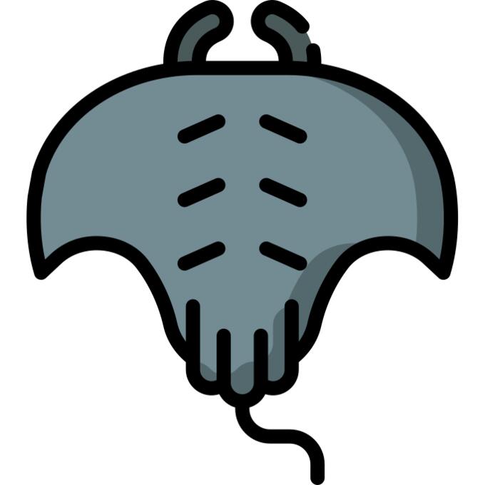 Manta ray