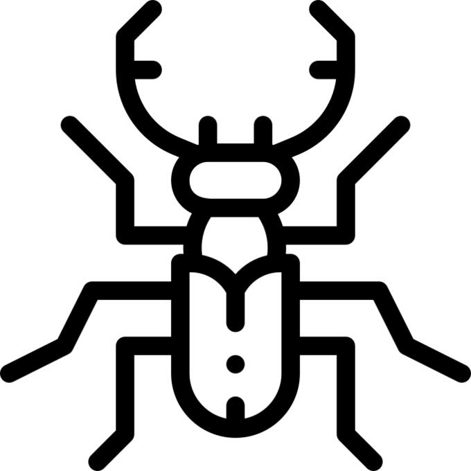 Stag beetle
