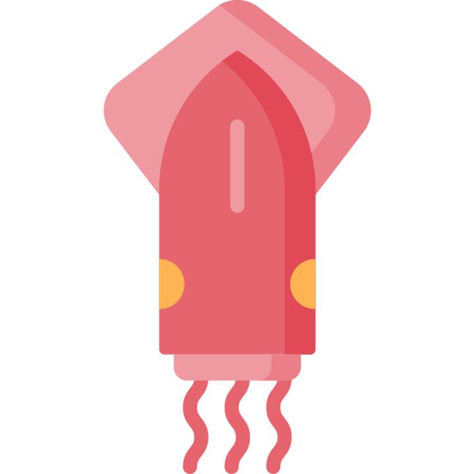 Squid