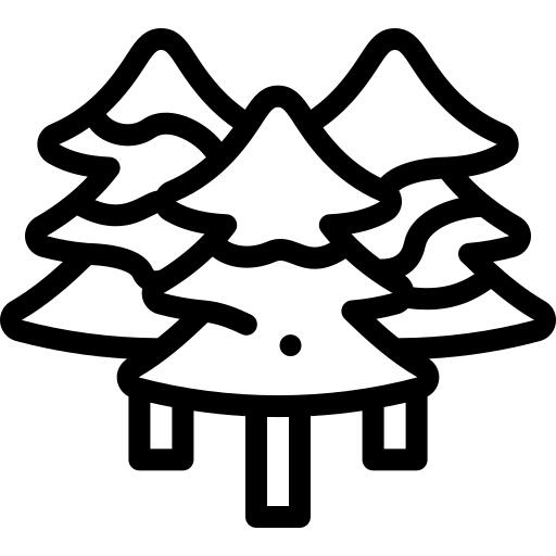 树木