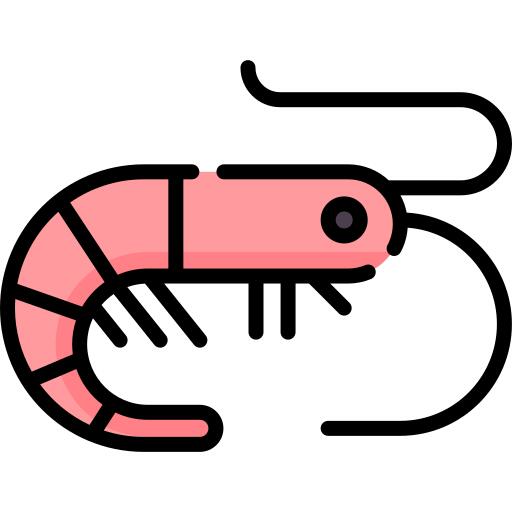 虾