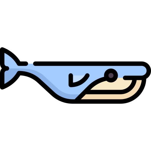 鲸