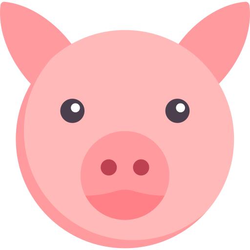Pig