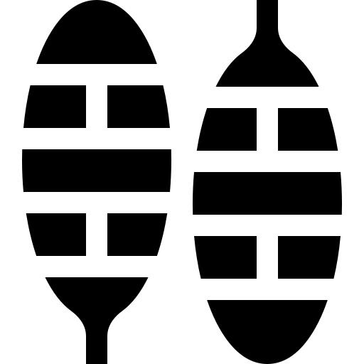 Snowshoes