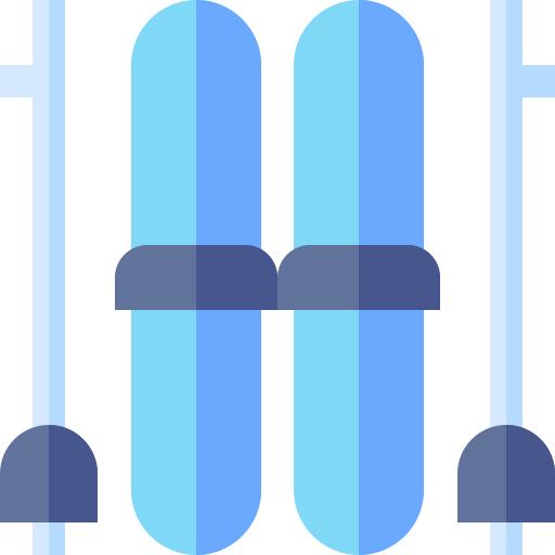 Ski