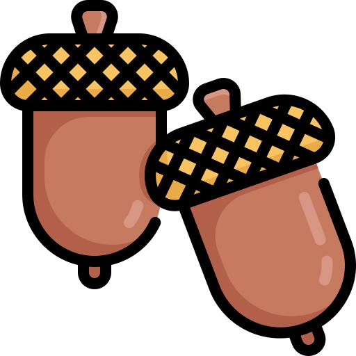 Acorn