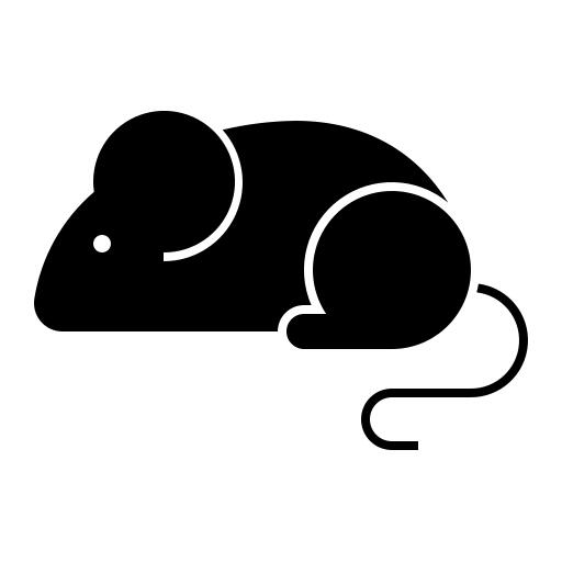 鼠