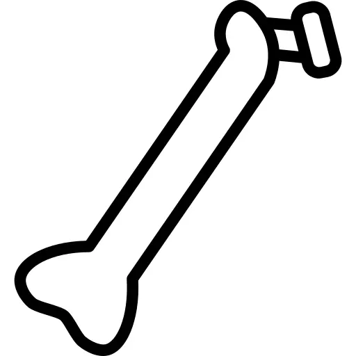 Bone