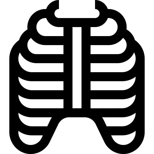 Ribs