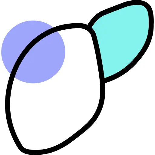 Liver