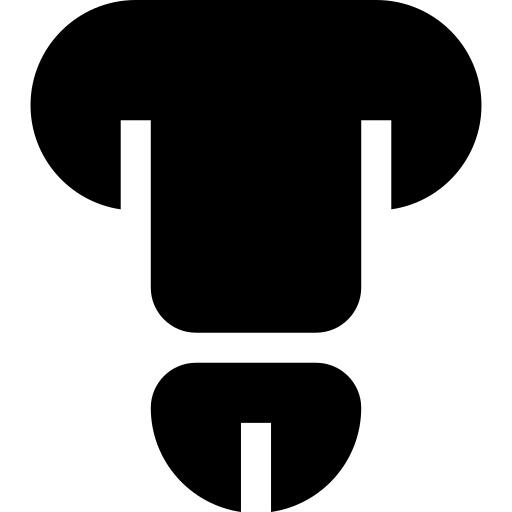 Penis