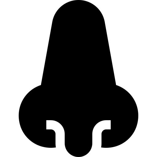 Nose