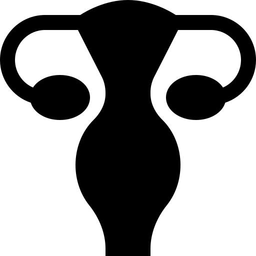 Uterus