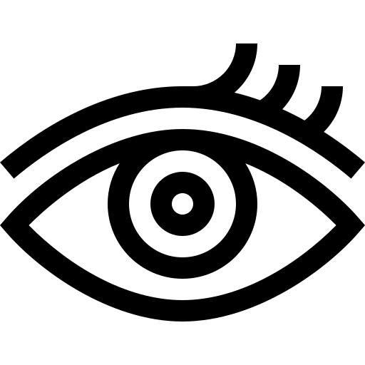 眼睛