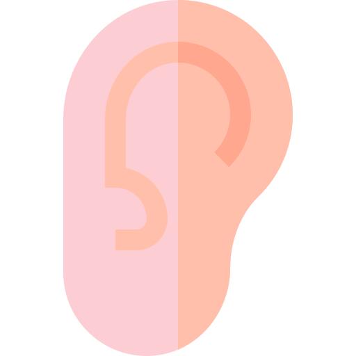 耳