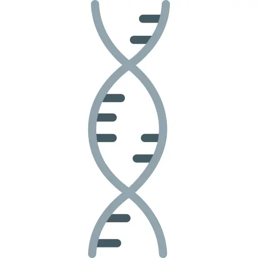 Dna
