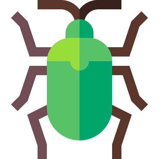 甲虫