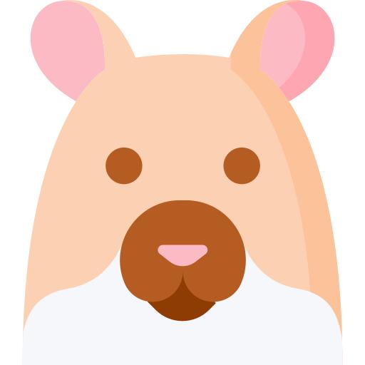 Hamster