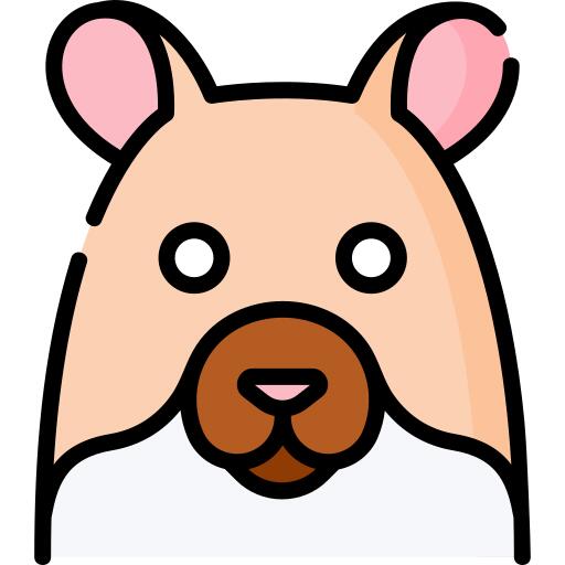 Hamster