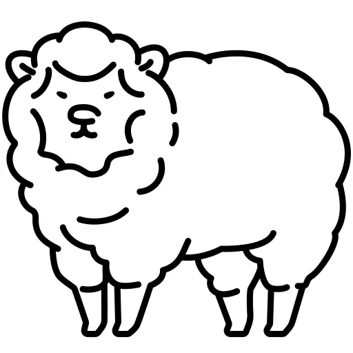 Sheep