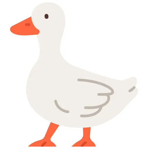 Duck