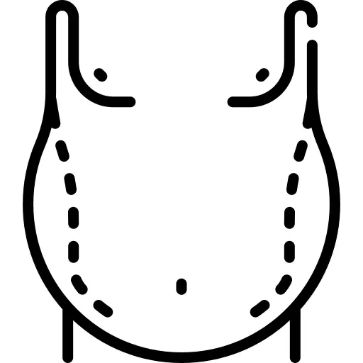 肚皮