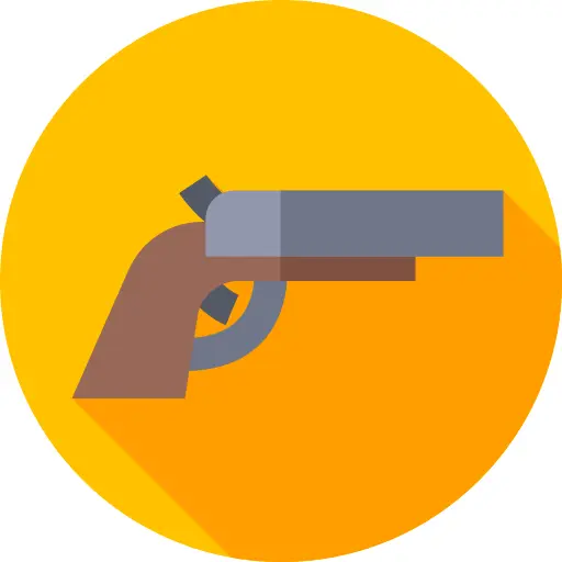 Musket
