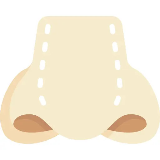 Nose