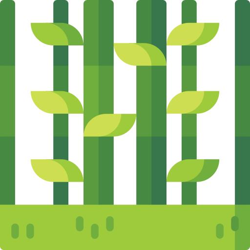 Bamboo