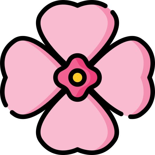 Cherry blossom