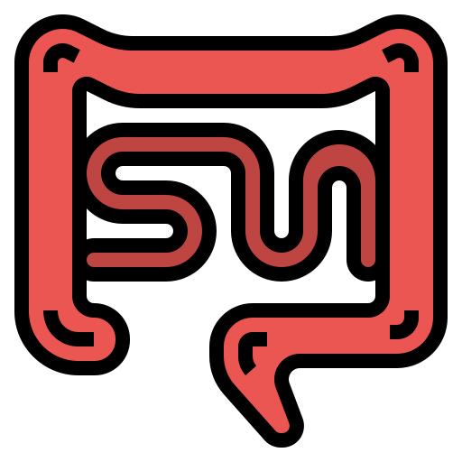 Intestine