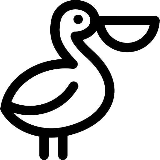 鹈