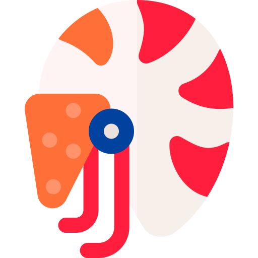 Nautilus