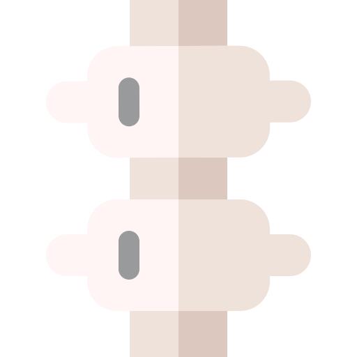 Spine