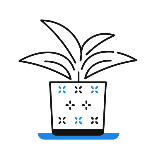 花盆