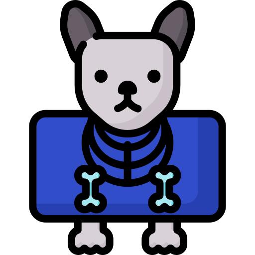 X射线