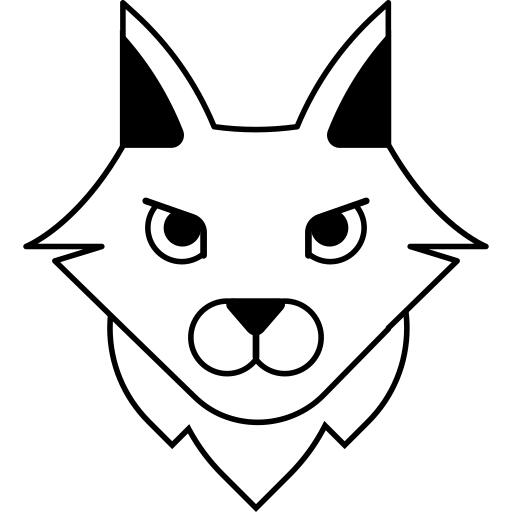 土耳其安哥拉猫