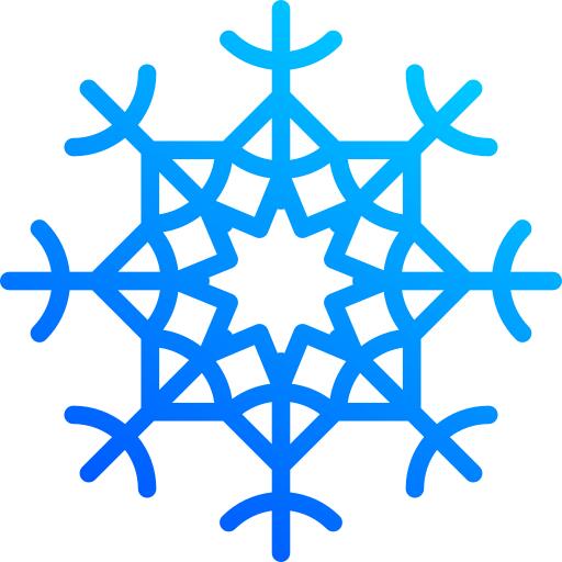 Winter flake